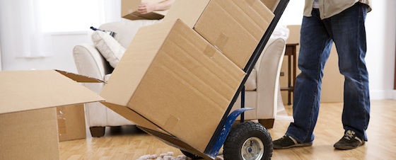 A+ Always Moving - Portland Mover